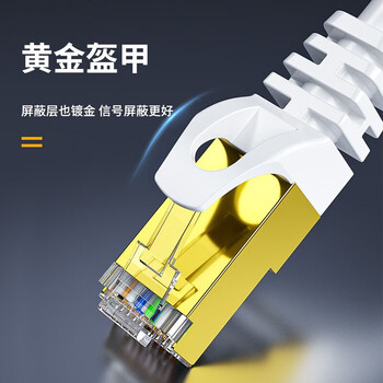 海乐(HAILE)CAT6A高速工程级超六类双屏蔽网线 HT-565Y-3M 白色3米