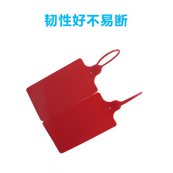 飞尔（FLYER）一次性塑料封条 鞋包衣服防伪扣防调换塑料封条标签扎带100条【25×5.8cm】