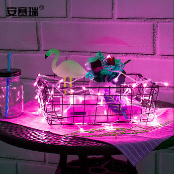 安赛瑞 LED串灯 花园围栏挂灯 春节圣诞装饰布置 满天星彩灯闪灯 10米100灯紫色 24054