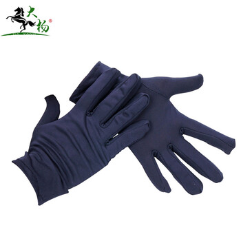 大杨 可触屏礼仪手套薄款 老兰色10双 女款中码安检氨纶手套108