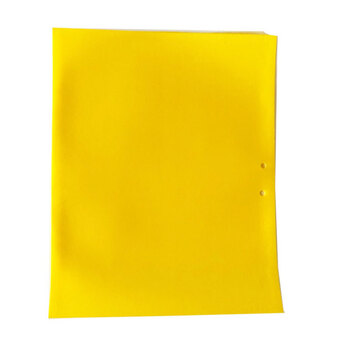 益美得 LD-3008 双面胶粘虫板15*10cm小号庭院大棚园艺茶园果园悬挂式诱虫板  40片装