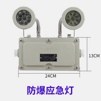 鸣固 防爆应急灯BCJ防爆标志灯BYY安全出口疏散指示灯双头应急两用灯 防爆应急灯