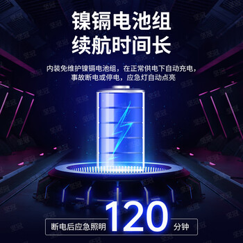 坚冠 消防LED防爆应急灯 消防应急灯双头商用煤矿仓储紧急疏散通道标识疏散指示灯标志灯【防爆应急灯】