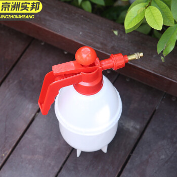 京洲实邦 0.8L 颜色随机铜嘴气压式手持喷壶小型压力喷雾瓶喷洒水壶  JZSB-8037