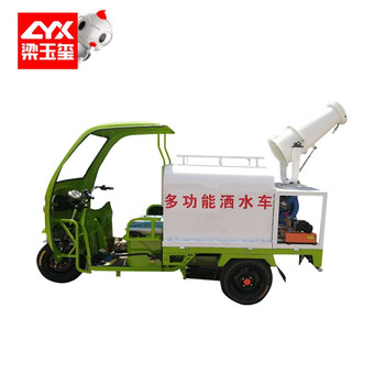 德威莱克DW800L直流纯电动雾炮车多功能洒水车