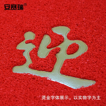 安赛瑞 PVC丝圈防滑地垫 除尘脚垫室外迎宾地毯垫进门垫 出入平安 宽75长115cm红色 12218
