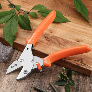 张小泉 秋韵系列整枝剪 进口SK5钢园林剪刀果蔬修剪子园艺剪果枝剪 砧板式设计剪刀 整枝剪165mm ZH-334