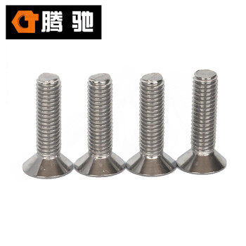 腾驰 CT 304 十字沉头螺钉 GB819 不锈钢十字沉头螺丝 M1.6-0.35*3（300支/盒）
