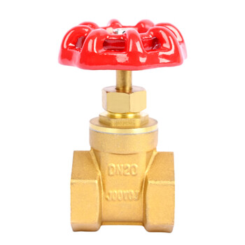 匡建仪表（CONJANT）铜截止阀 加厚黄铜 硬密封低进高出饱和蒸汽高温高压自来水阀门单向截门 DN20 