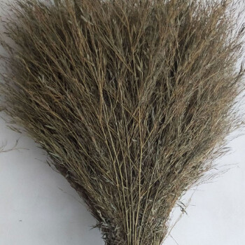 海斯迪克 HKxy-40 清洁竹扫帚 马路工地大扫帚 竹编清洁扫把 竹枝连体 3.3斤(1把)