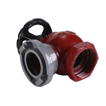 济俊 济俊 SN65 消火栓 室内消防栓 消火栓65 2.5寸消防阀门 消防龙头 4台起发 不零售