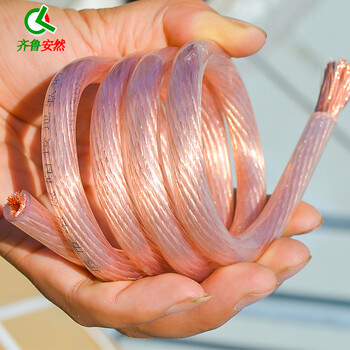 齐鲁安然 汽车搭火线电瓶线过江龙电瓶夹子连接线鳄鱼夹纯铜搭电线应急通用 16平方 3米 打火线