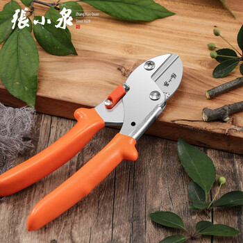张小泉 秋韵系列整枝剪 进口SK5钢园林剪刀果蔬修剪子园艺剪果枝剪 砧板式设计剪刀 整枝剪165mm ZH-334