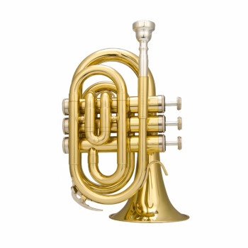 津宝 手掌号jbmt-500 便携式小号 降b调袖珍短号 铜管乐器 新品