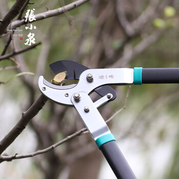 张小泉 春悦系列粗枝剪大力剪省力剪花枝剪园艺剪刀树枝剪果树园林剪刀S10580100