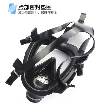 唐人 防尘面具3件套（TF10D型全面具+0.5m导气管+ P-CO-3 5号滤罐）1套