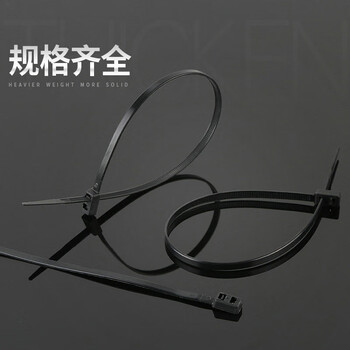 飞尔（FLYER）不锈钢扎带 黑色自锁式 束线带 金属钢带 100根/包【10×600MM】