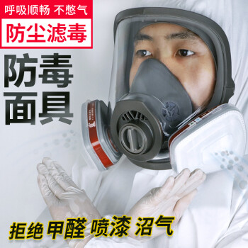 普达 防毒面具 全面罩橡胶1套 防汞蒸气 尘毒两用防毒口罩 MJ-4007+P-Hg-1型滤毒盒