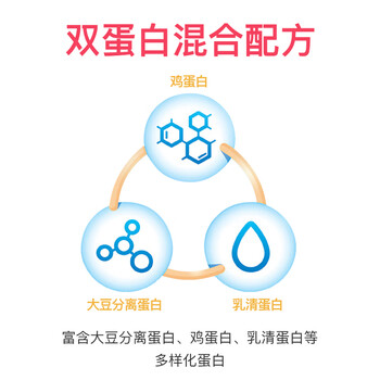 康富来蛋白粉礼盒480g 老年蛋白粉 高营养蛋白质粉中老年人营养品礼盒孝敬父母长辈礼品年货送礼佳品