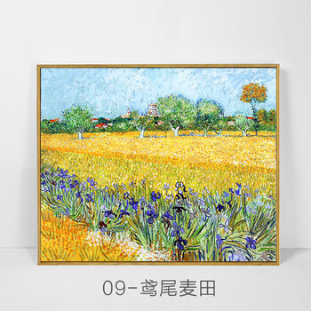 装饰画客厅墙画欧式名家油画书房挂画玄关走廊壁画 梵高作品-鸢尾麦田