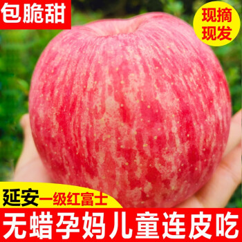  安和山陕西延安洛川红富士苹果新鲜水果脆甜应季水果时令生鲜 85-90mm带箱10斤（净重8.8斤）