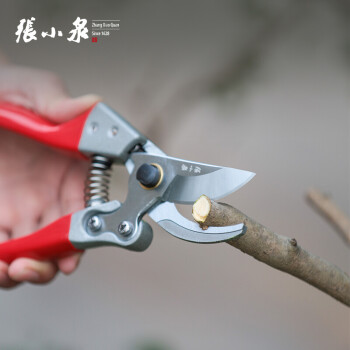 张小泉 园林剪220mm 修枝剪 剪枝剪 果树剪 园艺剪园艺工具ZH-303
