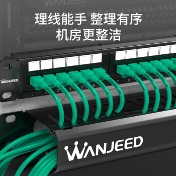 万级（WANJEED）理线架12档24口 加厚型19英寸1U网络机柜网线理线架整理器线缆管理器 WJ-17111