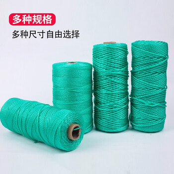 飞尔（FLYER）多功能尼龙绳 捆绑绳 户外搭建高强度韧性扎捆绳【红色 2mm 一卷100米】