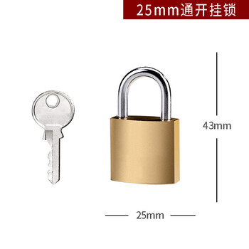飞尔(FLYER)通开仿铜挂锁【25mm 通开 10把】