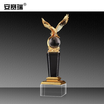 安赛瑞 展示牌定制 企业优秀员工表彰 运动会创意纪念标识  比赛颁奖礼品 水晶奖杯 精英世界28cm 701129