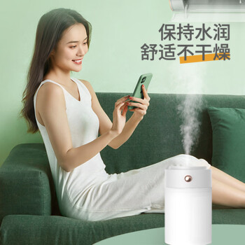 海纳斯（HANASS）加湿器 卧室家用办公室桌面迷你轻音车载USB插电便携夜灯加湿器伴侣 LYP829