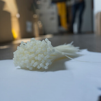 飞尔（FLYER）尼龙扎带 250根装 白色捆扎带 电线绑扎带【宽2.6长250mm】