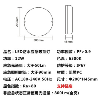 东君 LED防水消防应急吸顶灯 IP65 支持强启 DJ-03E 12W 白光 1箱（30盏装）