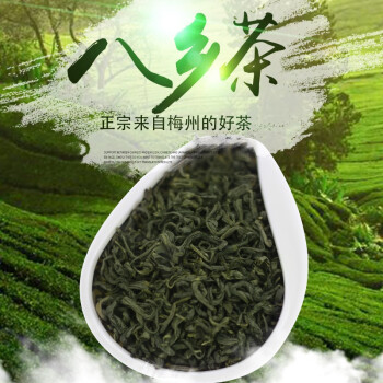 梅州丰顺八乡山茶头春新绿茶叶云雾五华绿茶炒茶浓香耐泡500g惠维茶业