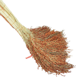 兰诗（LAUTEE）SB-0263 单个扫把 清洁植物扫把 学校工厂办公室用笤帚 高粱扫把