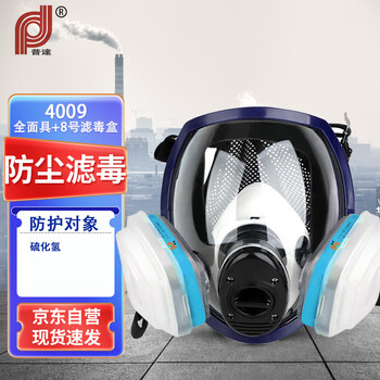 普达防毒面具 MJ-4009全面罩配P-H2S-1(8号)滤盒七件套 有色金属采矿