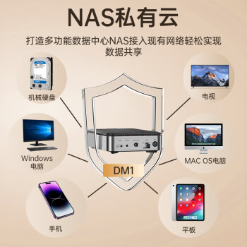 尤达大师 私有个人云nas网络存储器家庭服务器存储扩容资料备份手机文件同步适用黑神话悟空（无盘版）DM1