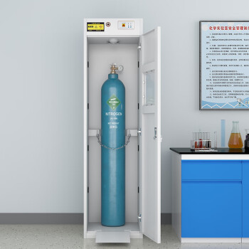 知旦 气瓶储存柜 单瓶二代报警器 化学实验室存储柜 ZD205 白色