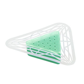 兰诗（LAUTEE）PA1195 尿斗三角块  卫生间滤洁块 2块/包