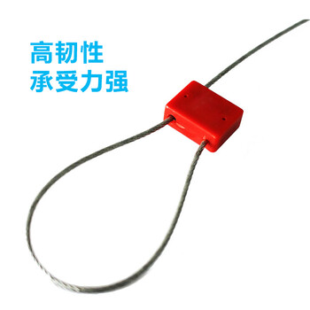 飞尔（FLYER）一次性铝合金封条 抽紧式铅封锁扣 物流油罐车集装箱铅封锁100条【23×18mm】
