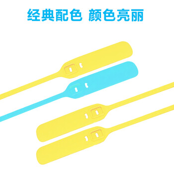飞尔（FLYER）一次性塑料封条 抽紧式塑料铅封锁扣 物流封签施封锁扎带100条【31.3cm下单请备注颜色】
