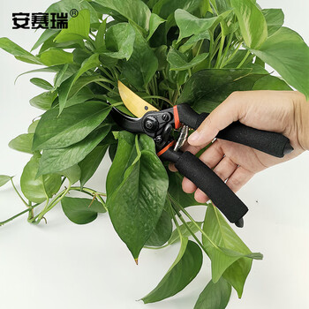 安赛瑞 园林工具修枝剪 园林园艺剪刀树枝剪带安全锁扣 果树绿化修枝剪刀 25002