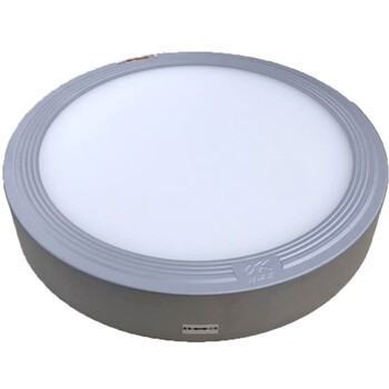 海洋王 OK9188-ⅢGJ 18W 4200K 冷白光 300*50mm LED灯泡(计价单位：个)银