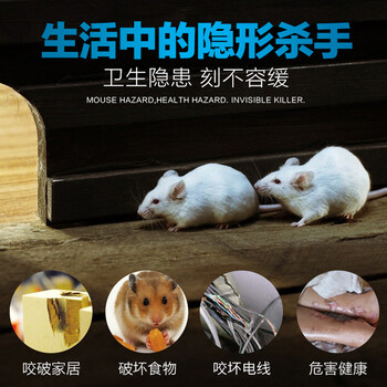 楚婕雅80㎡驱鼠神器家老鼠一窝端灭老鼠神器商用超声波大功率捕驱鼠器