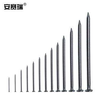 安赛瑞 铁钉 铁钉子 圆钉 洋钉 木工钉 木板钉 5寸 125mm（19kg装）22282