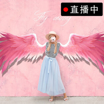 3d立体粉色翅膀背景墙纸ins少女心壁画网红直播房间拍照摄影壁纸 【整