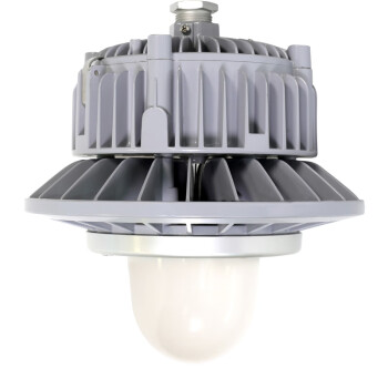 通明电器 TORMIN BC9308P-L30-100 LED防爆灯 厂房车间仓库加油站投光灯具 光束角100度30W