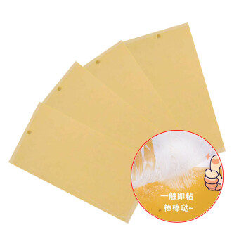 益美得 WYQ0295 粘蝇纸灭蝇子蚊子捕捉器粘虫板苍蝇贴强力粘蝇板 10*25CM