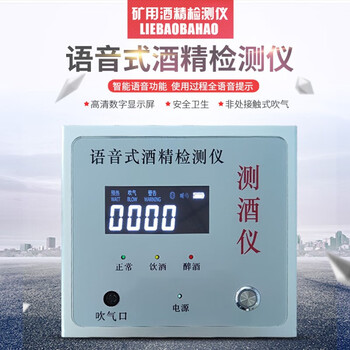 雨沃 矿用酒精测试仪 测酒仪工业壁挂式耐用语音YCG-2N酒精检测仪器