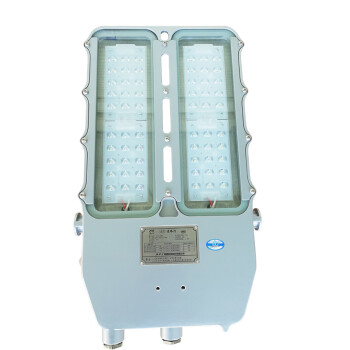 海洋王 NLC9615 220V 100W  LED道路灯
